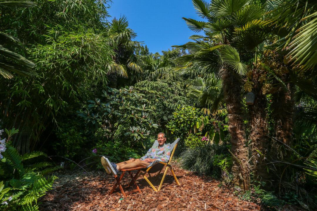 Dad of 3 Spends 35 Years Nurturing His ‘Jungle’ Back Garden: ‘It’s a Very Tropical Atmosphere’