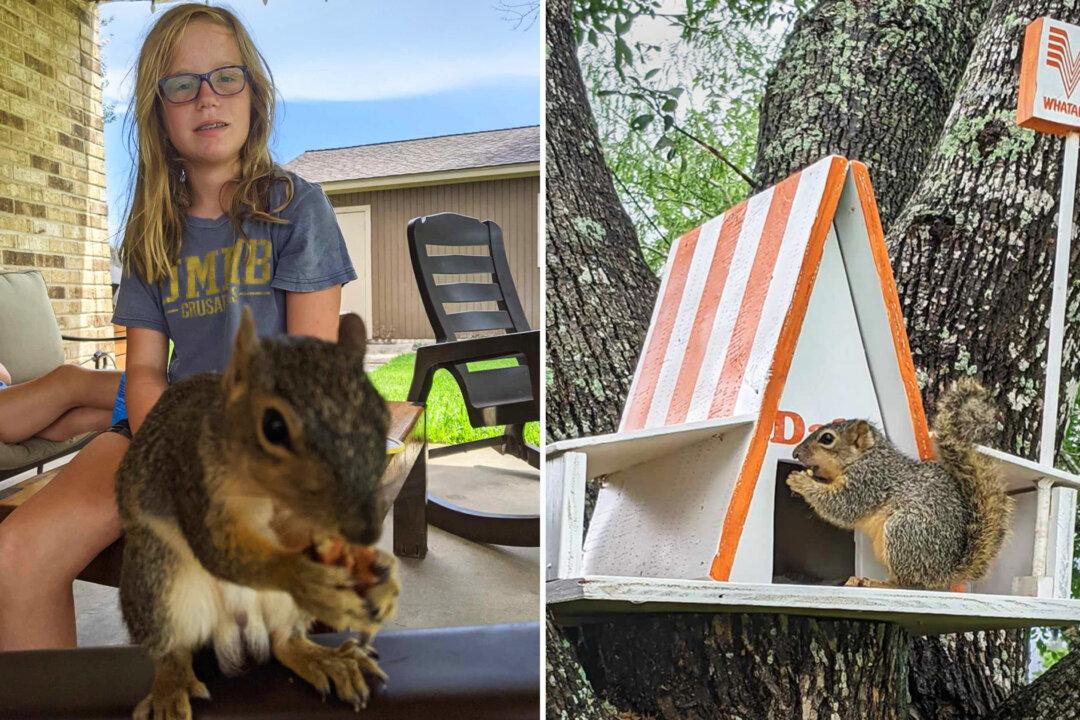 Texas Teen and Her Dad Build Cute ‘Whataburger’ Treehouse for Orphaned Squirrel: ‘She Definitely Has a Heart for Animals’