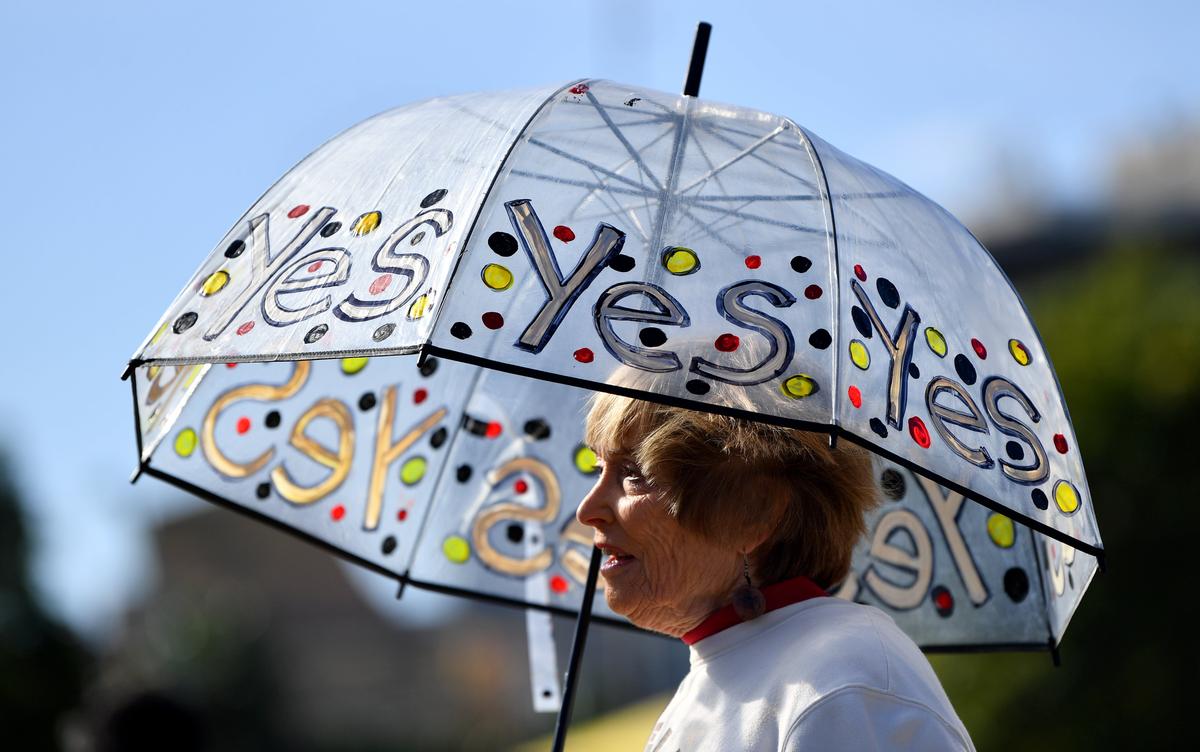 Why Our Nation’s Elites Are So Keen on The Voice