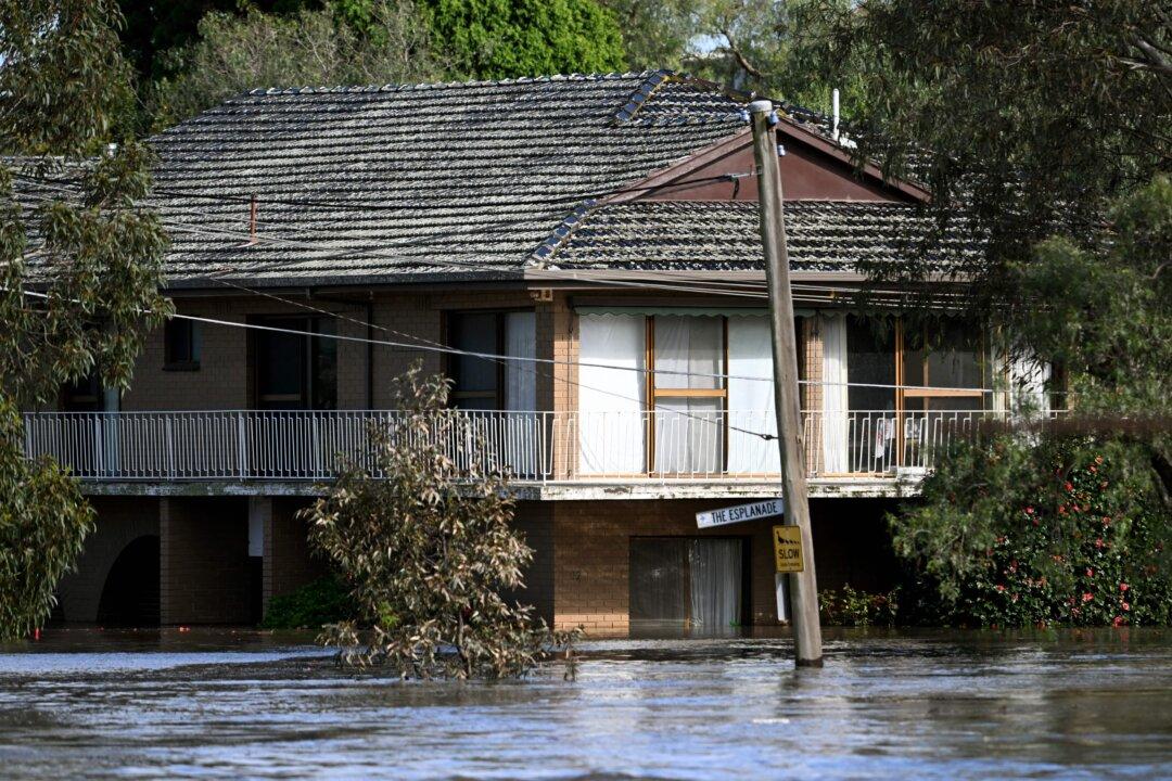 Old Data Sinks Hopes of Levee Verdict in Flood Findings
