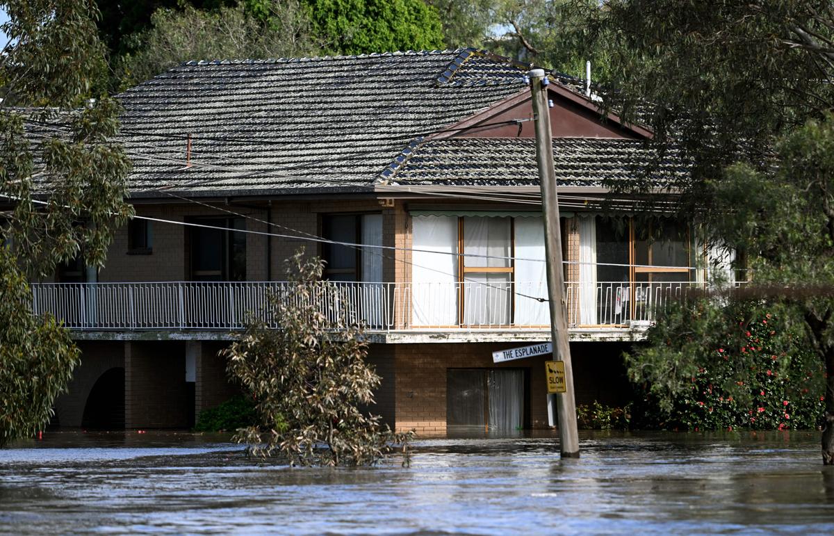 Old Data Sinks Hopes of Levee Verdict in Flood Findings