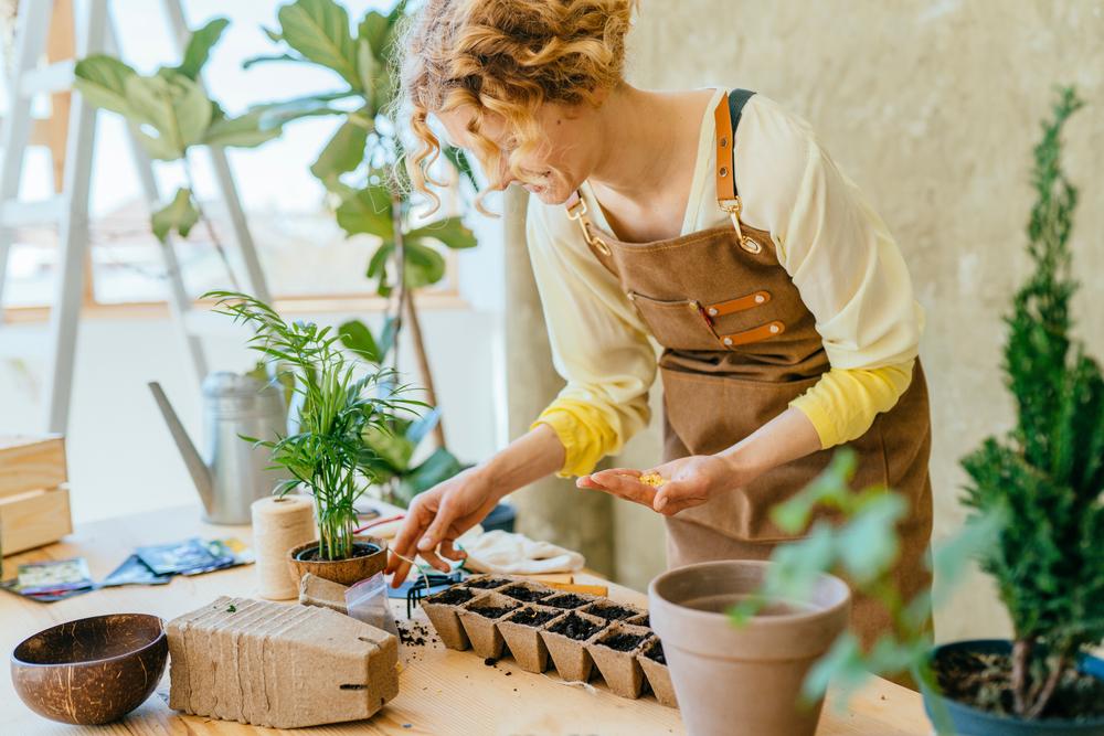 Beginner’s Guide to Indoor Gardening