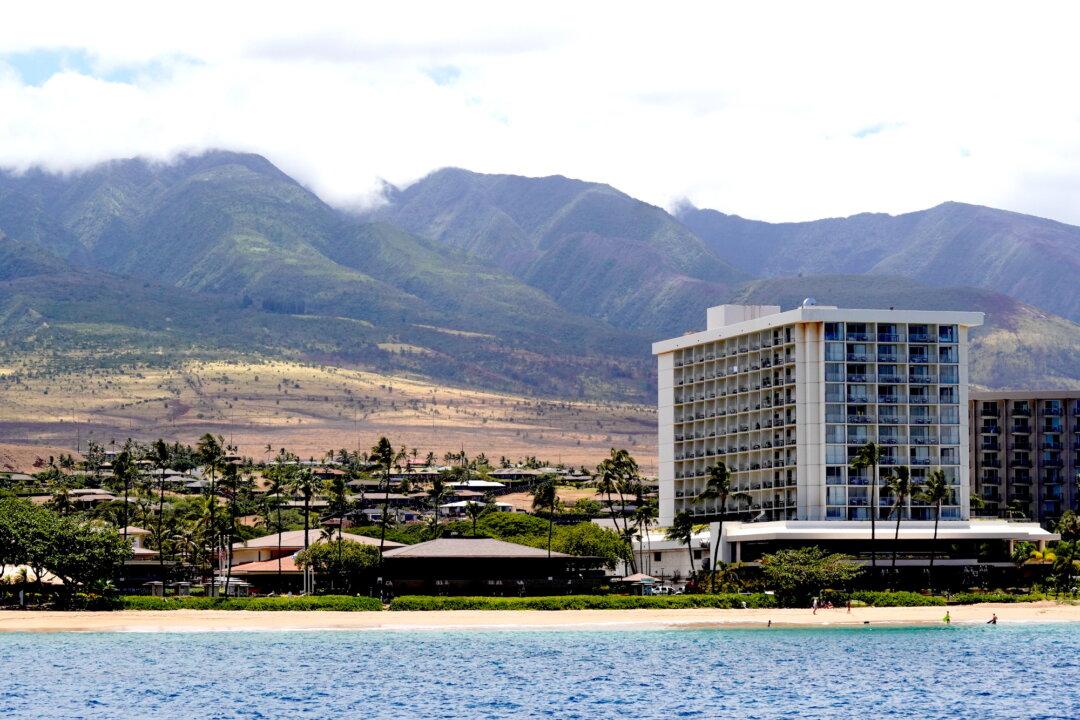 Despite Losing Everything, Maui Survivors Feel Lucky to Be Alive