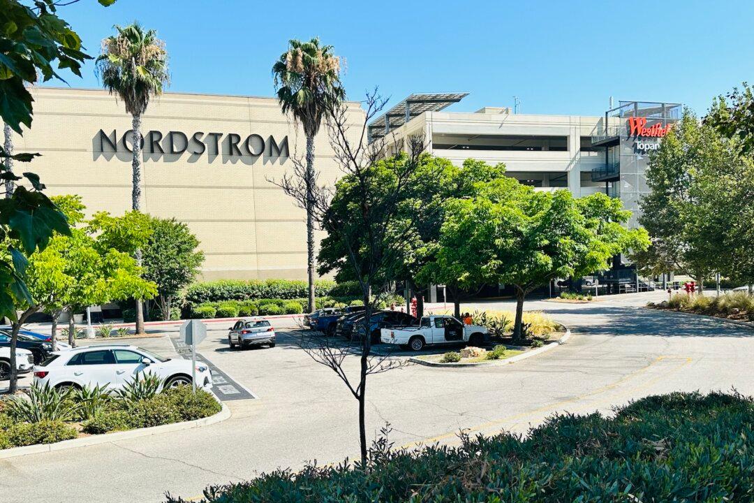 Police Nab 6 Suspects in Flash-Mob Robbery at LA County Mall; 6 Still at Large