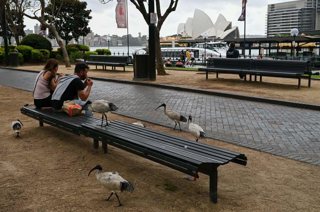 Jobs Market at ‘Turning Point’ as Rate Rises Cut Deep