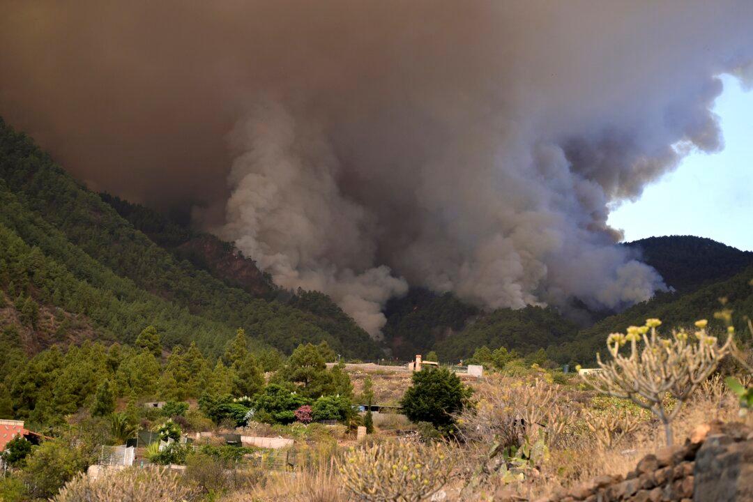 Out-of-Control Wildfire Scorches Spain’s Tenerife Island, Affecting Thousands