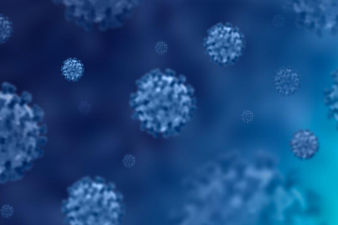 Alternative Medical Union Launches Inquiry Into Excess Mortality in Australia