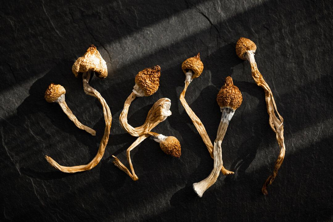 The Potential Harm of Psychedelics