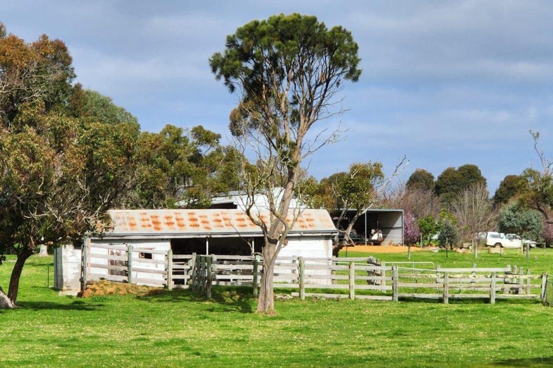 Farmers More Positive As Commodity Prices Rise