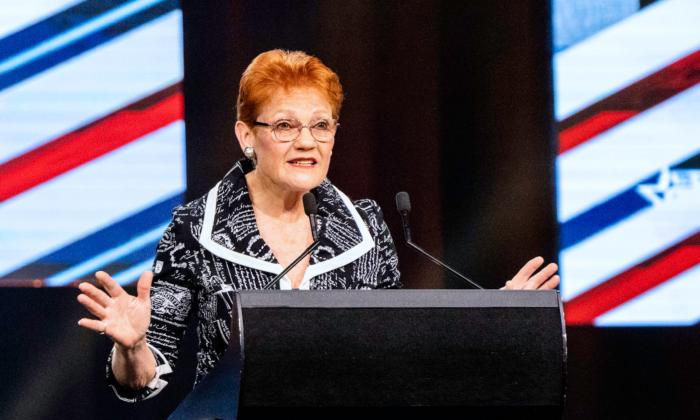 Pauline Hanson Successfully Engaging Young Australian Voters With ‘Please Explain’ Cartoons