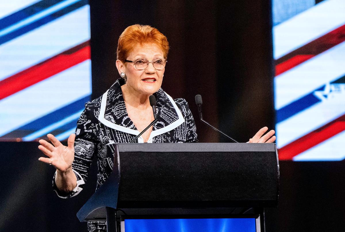 Pauline Hanson Successfully Engaging Young Australian Voters With ‘Please Explain’ Cartoons