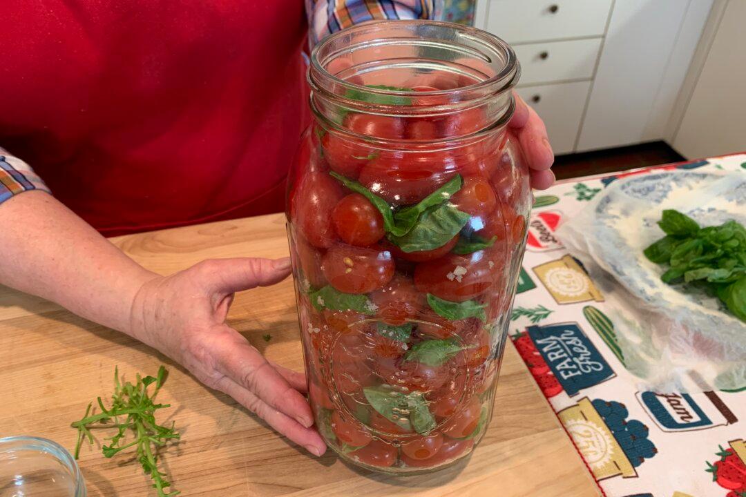 Fermented Cherry Tomatoes and Basil