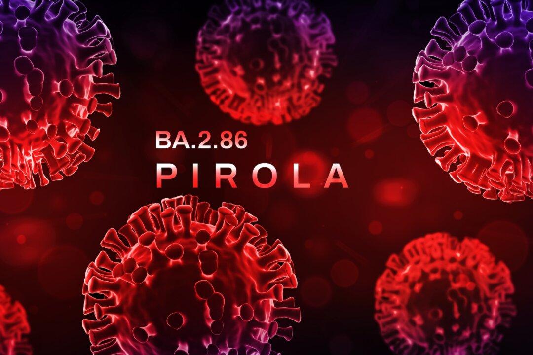 COVID-19: Eris or Pirola?