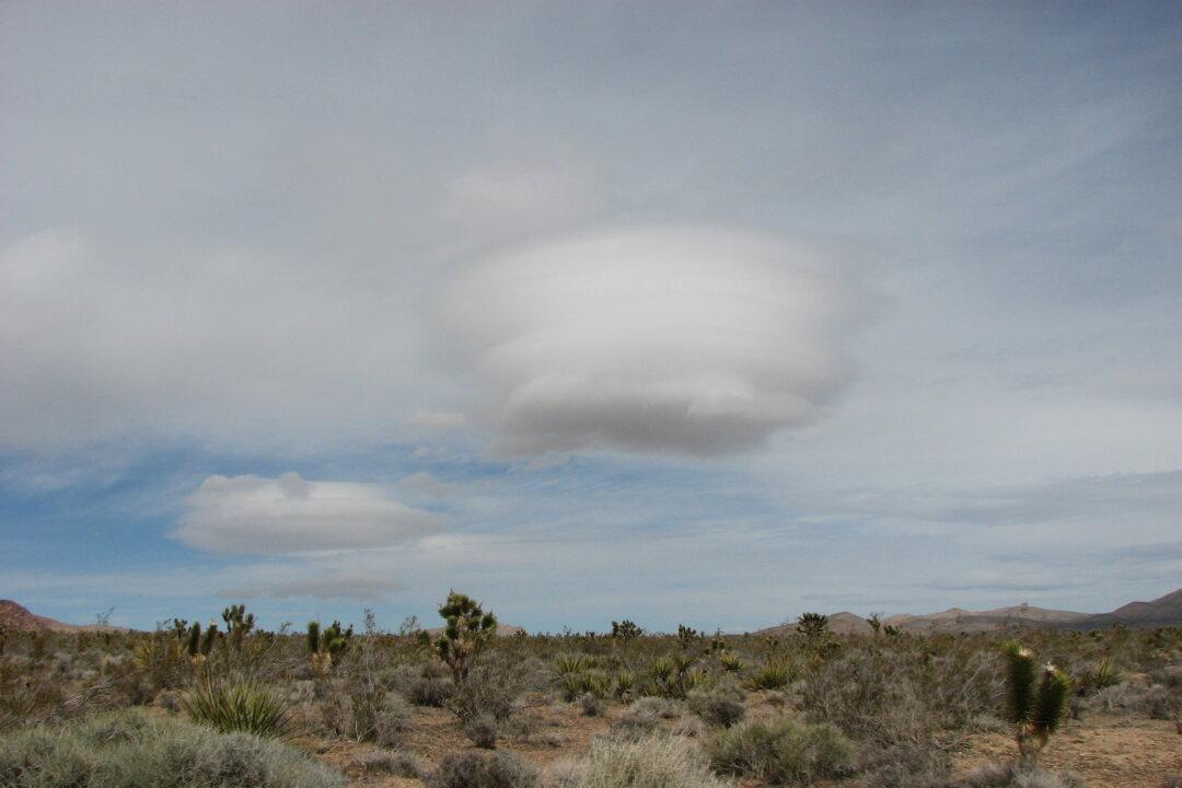 The Virtual Worlds of Climate and Energy