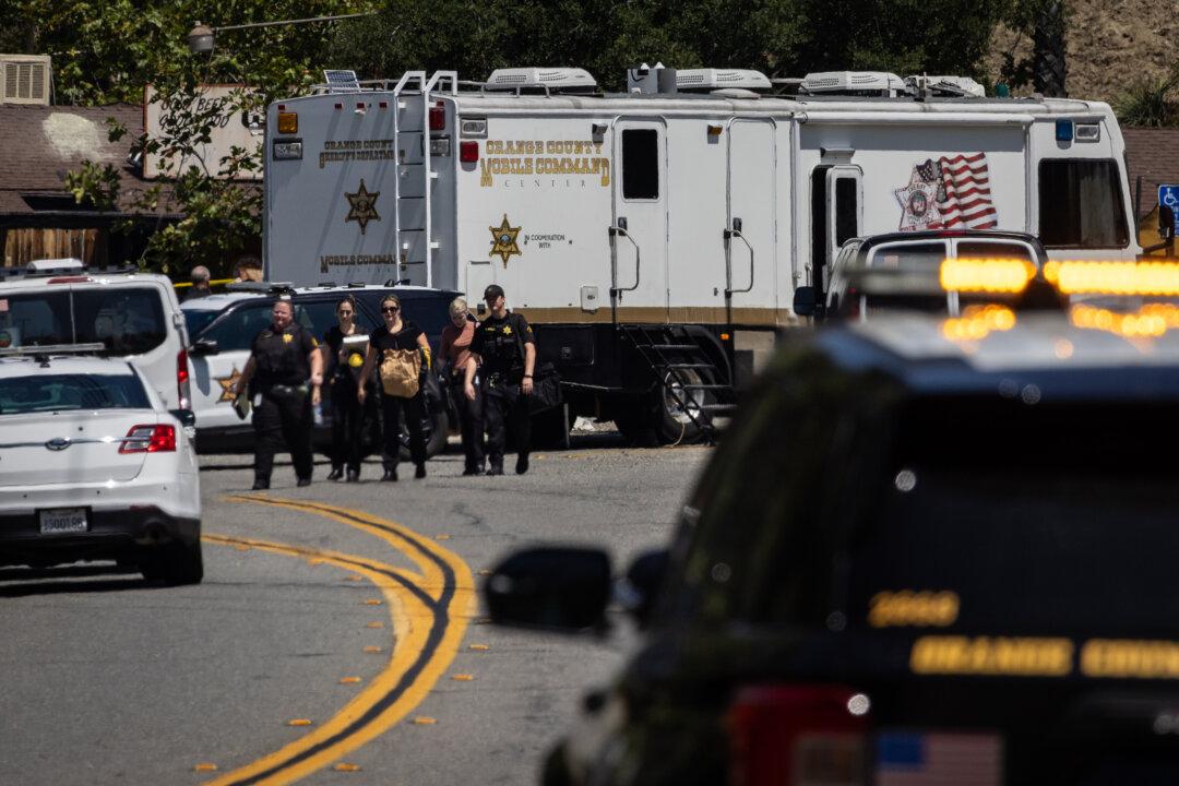 Mental Illness, Not Guns, Common Thread for Mass Shootings: Expert