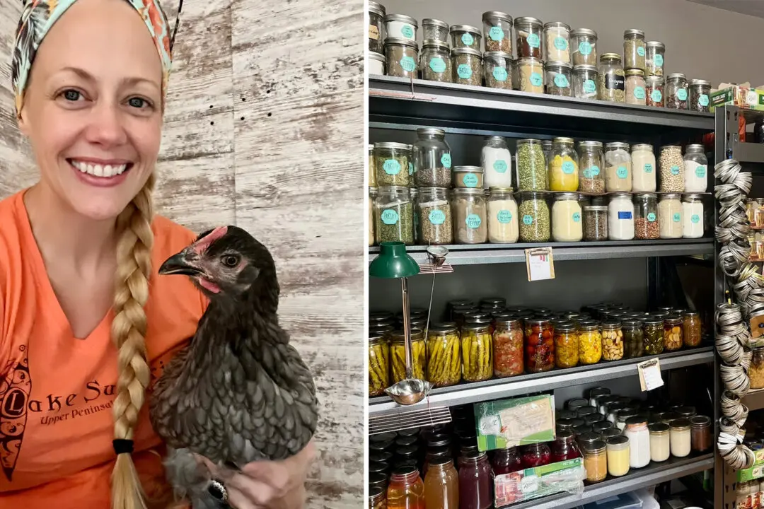 Homesteading Mom of 5 Says She Saves $12,000 a Year by Growing and Preserving Food