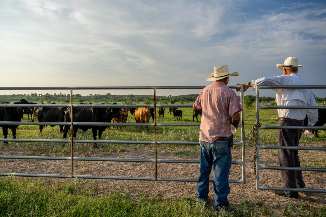 UN May Call On Americans to Cut Meat Intake—But Will it Work?