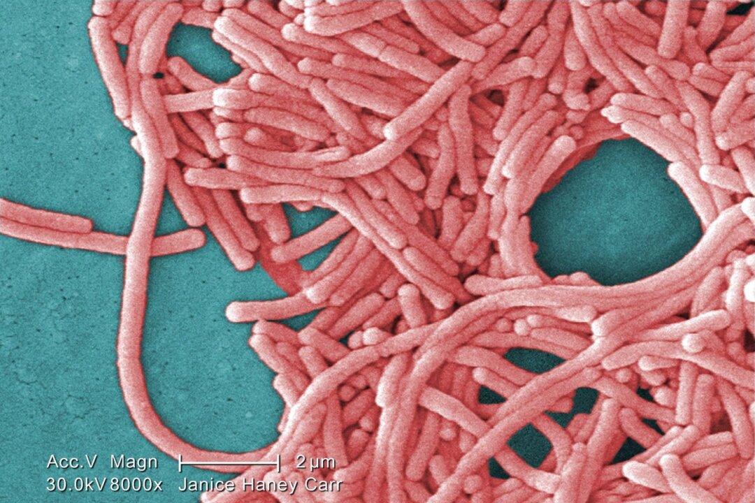 Nova Scotia Health Officials Say Legionella Outbreak in New Glasgow Considered Over
