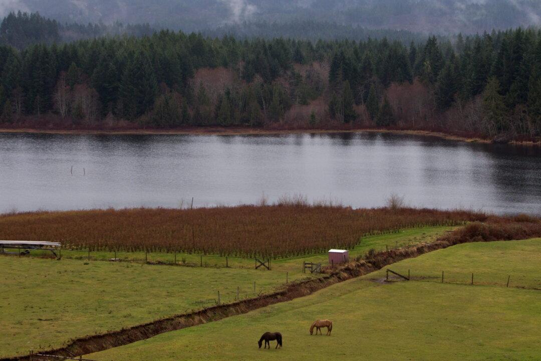 BC Farmers Say Groundwater Use Rules Are Putting Food Security at Risk