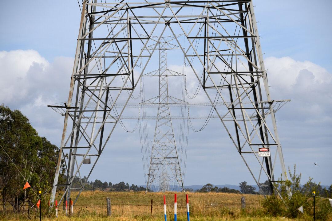 Regulator to Probe NSW Power Outage That Left Thousands Without Power for Days