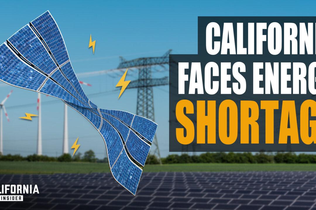 Why California Electricity Costs Have More Than Doubled | Susan Shelley