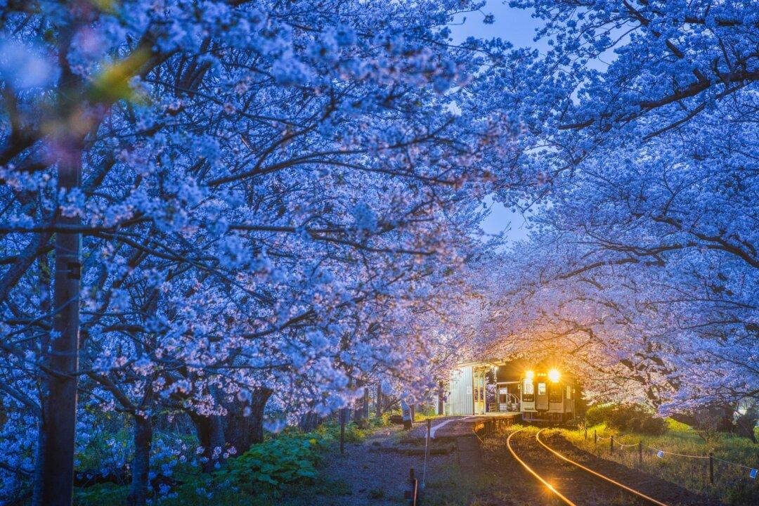 The Joys of Jet Lag and 5 Tips to Deal With It