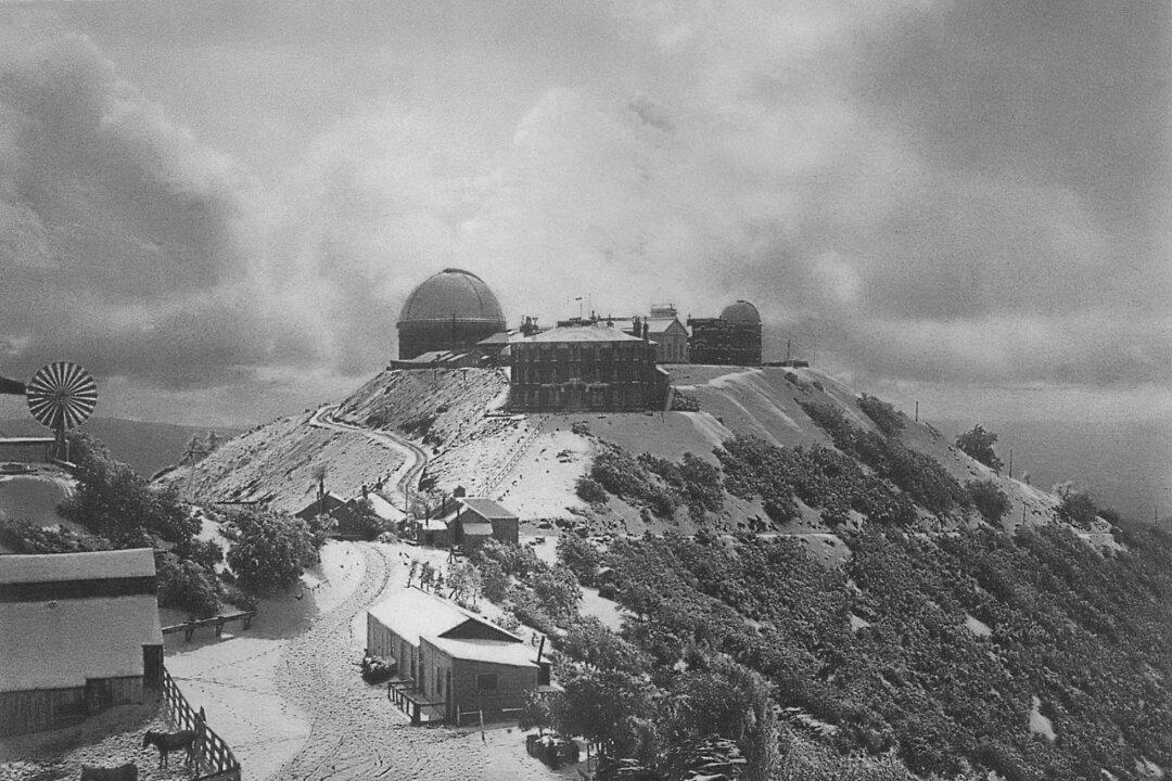 James Lick: Carpenter Turned Tycoon