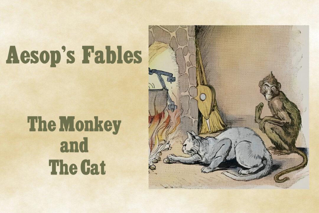 The Monkey and the Cat: The Flatterer Seeks Some Benefit at Your Expense