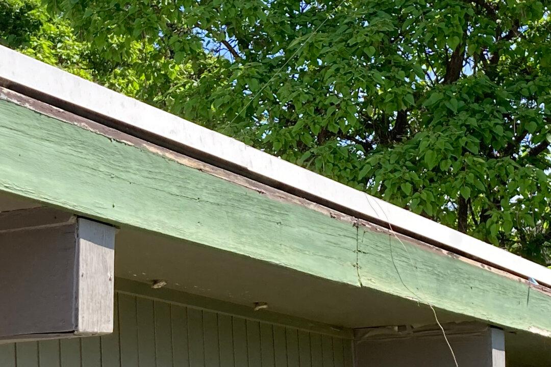 How to Minimize Maintenance on Your Exterior Wood