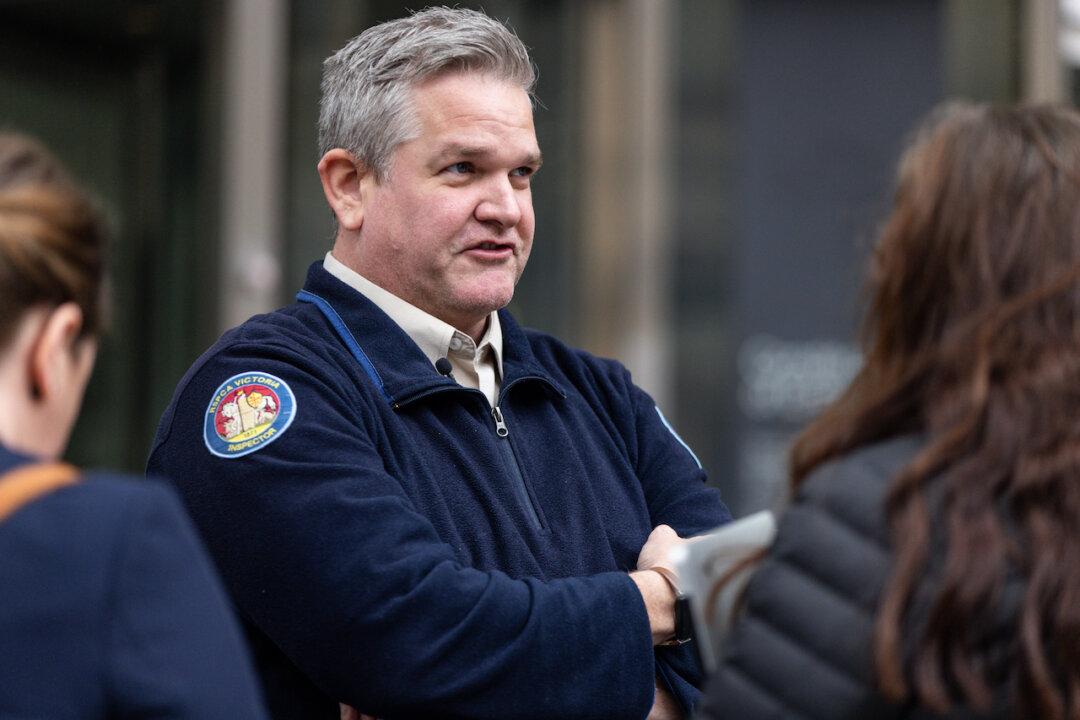 RSPCA Hails Harsher Penalty for Car Boot Kitten Sellers