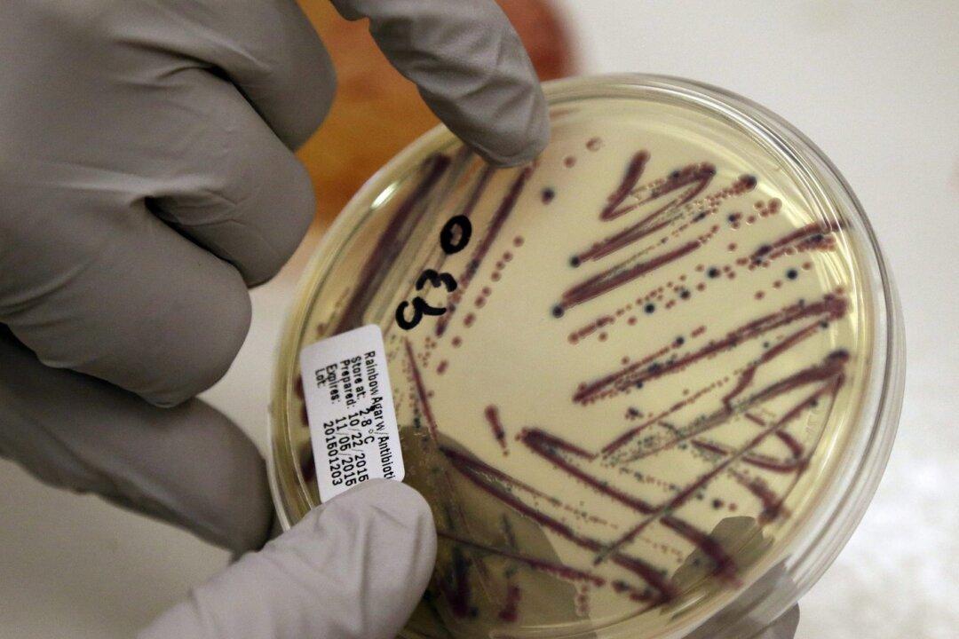 Critical Health Violations Found in Kitchen Used by Daycares After E. Coli Outbreak