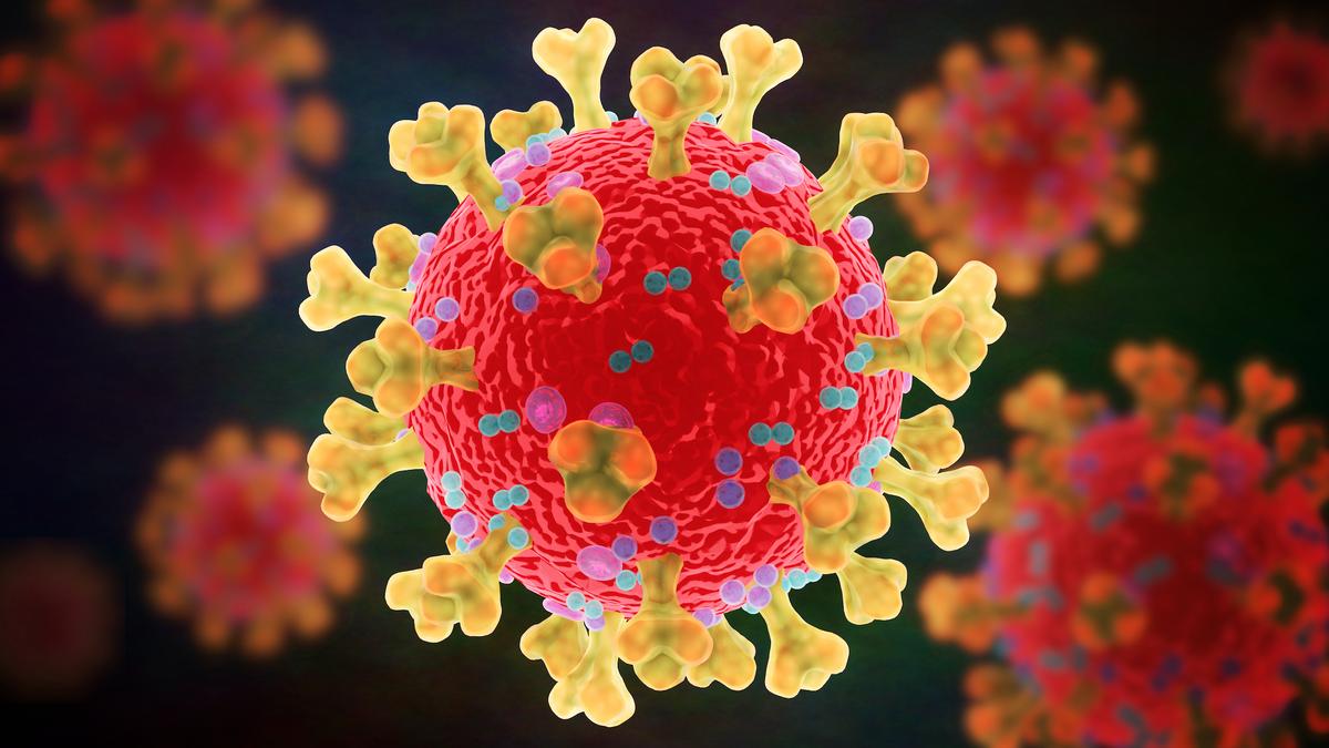 Australian, US Scientists Team up for a ‘Safe and Effective’ African Swine Fever Vaccine