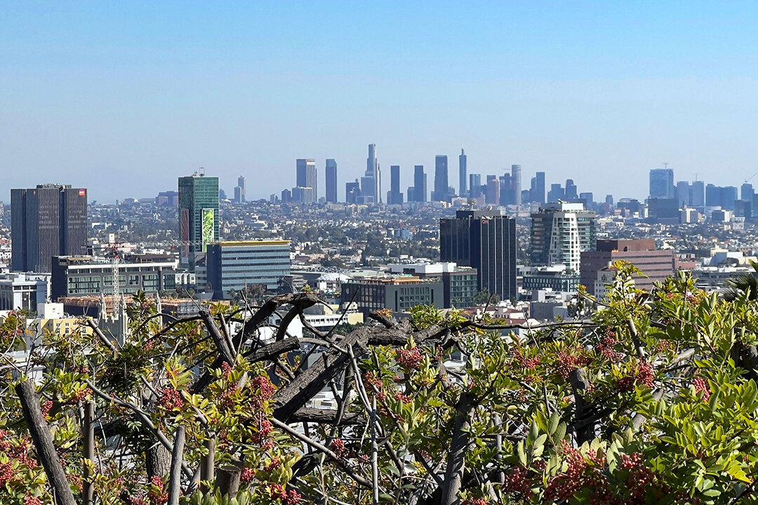 Feds Detain Dozens of Suspected Illegal Immigrants in LA Club Raid