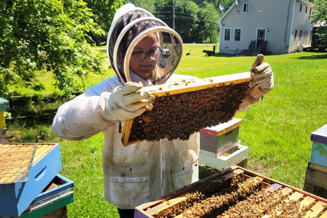 Maine’s Youngest Beekeeper Found Her Calling at the Age of 6, Now at 11 She Cares for 9 Hives