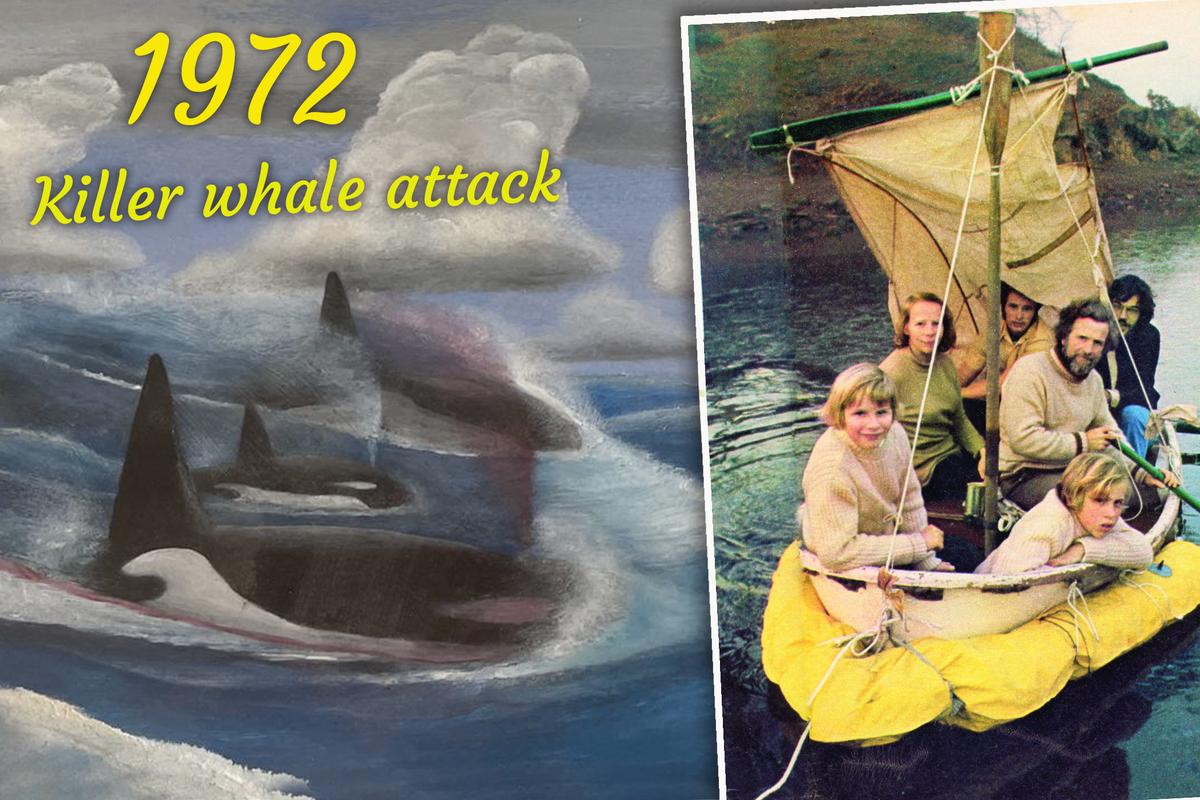 Family Shipwrecked After Killer Whale Attack Survives 38 Days at Sea Drinking Turtle Blood