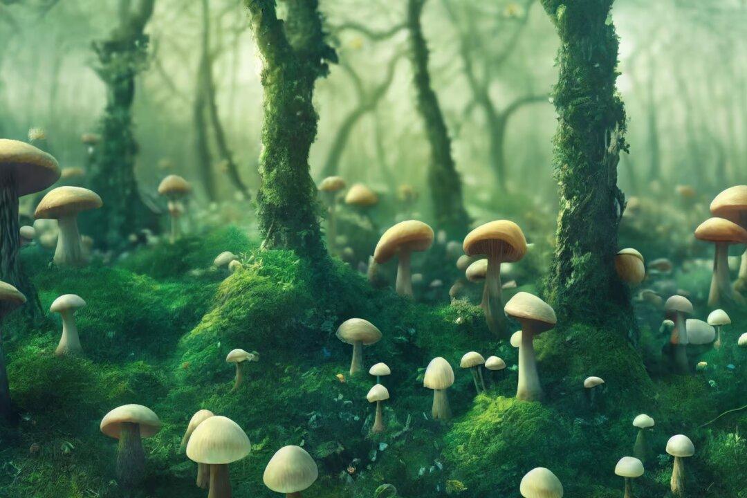 A Fungal Non-Apocalypse