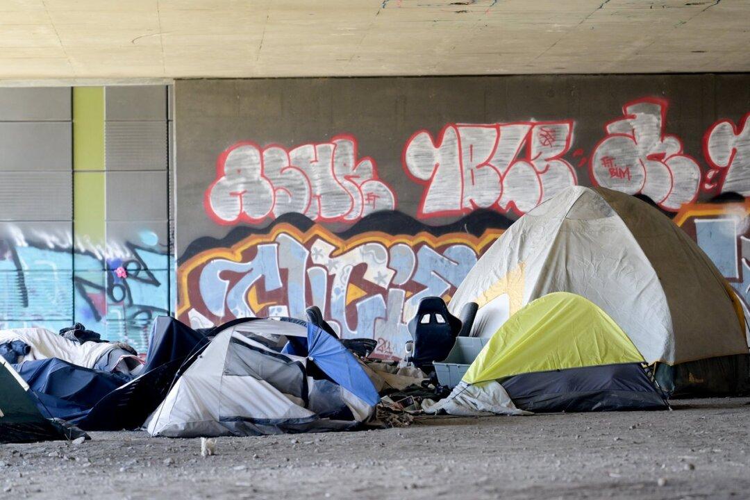 Residents Urge Winter Stay Option for Campsite Dwellers in Halifax Amid Housing Crisis