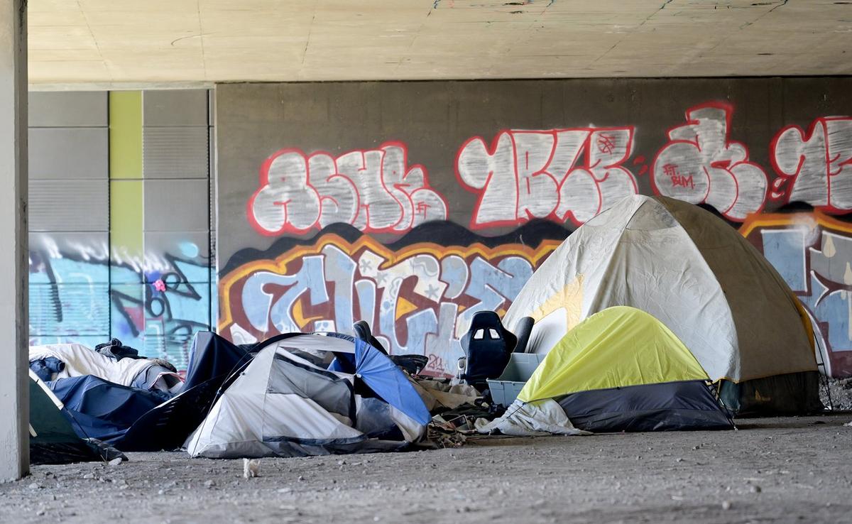 Residents Urge Winter Stay Option for Campsite Dwellers in Halifax Amid Housing Crisis
