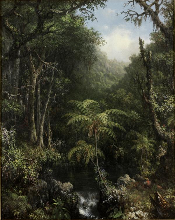 “Brazilian Forest,” 1864, by Martin Johnson Heade. Oil on canvas; 20 inches by 16 inches. RISD, Providence, R.I. (Public Domain)