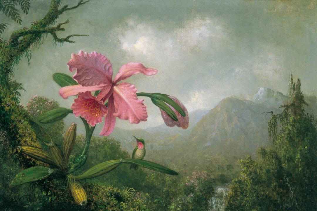 Painting the Tiny Jewels of the Jungle: Hummingbirds