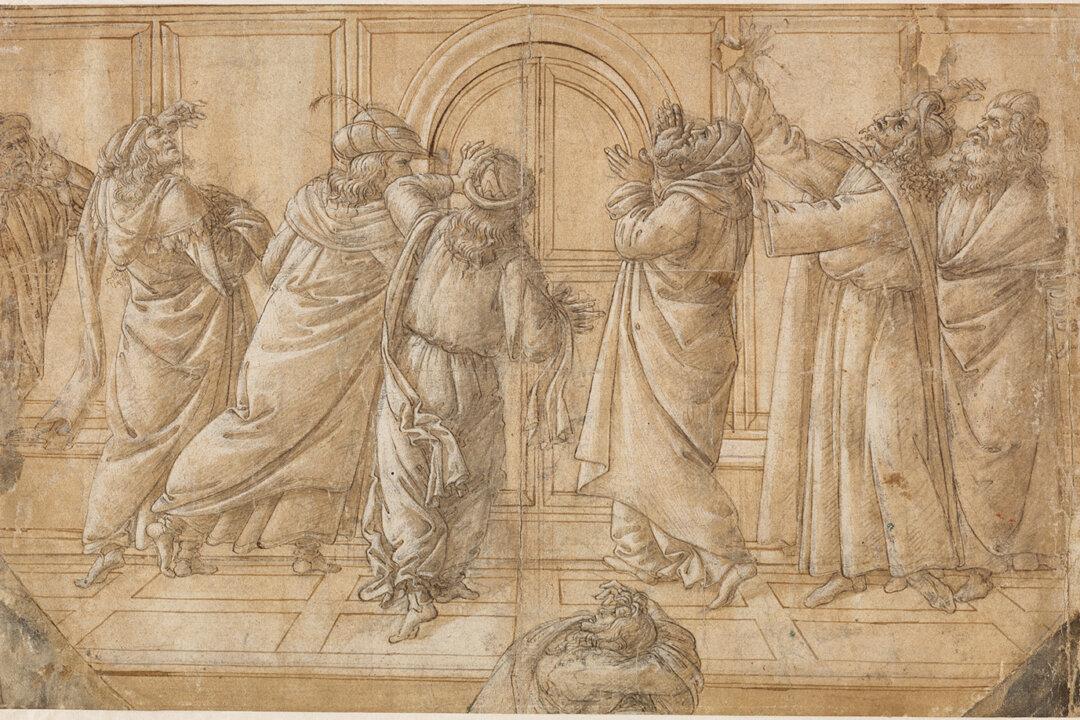 Drawing a New Understanding of Botticelli