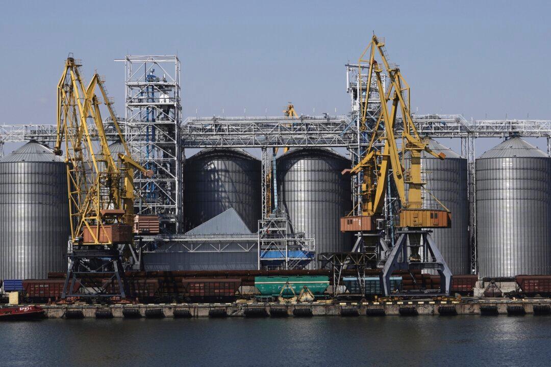 First 2 Cargo Ships Arrive in Ukrainian Port After Russia’s Exit From Grain Deal