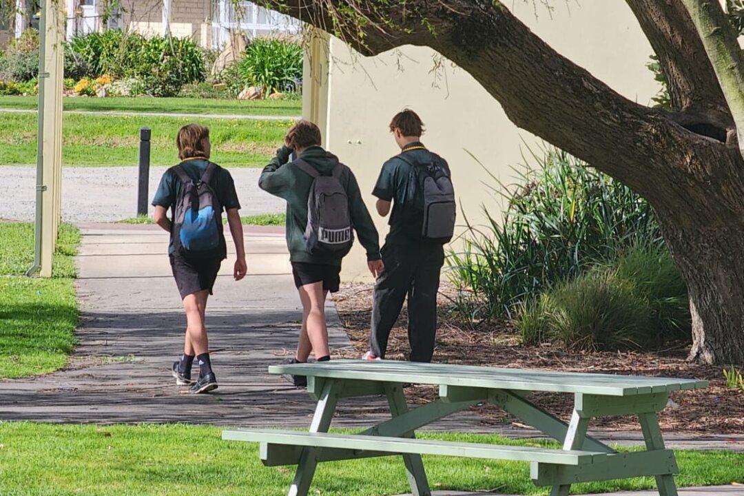 Only 38 Percent of Year 10 Students Proficient in Civic Education: Senate Inquiry