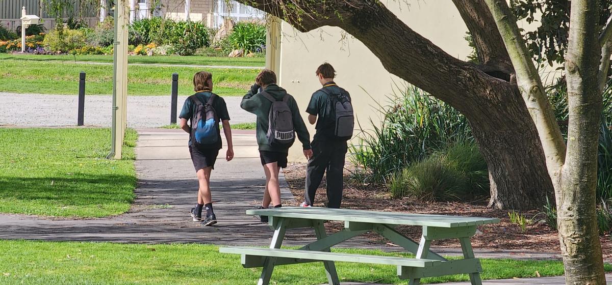 Only 38 Percent of Year 10 Students Proficient in Civic Education: Senate Inquiry