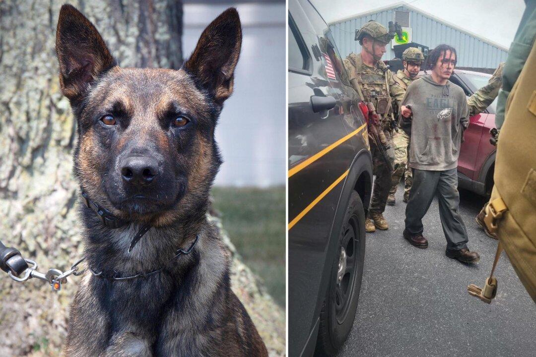 Police K9 Helps Takes Down Fugitive Murderer in the Woods After 14-day Manhunt in Philly