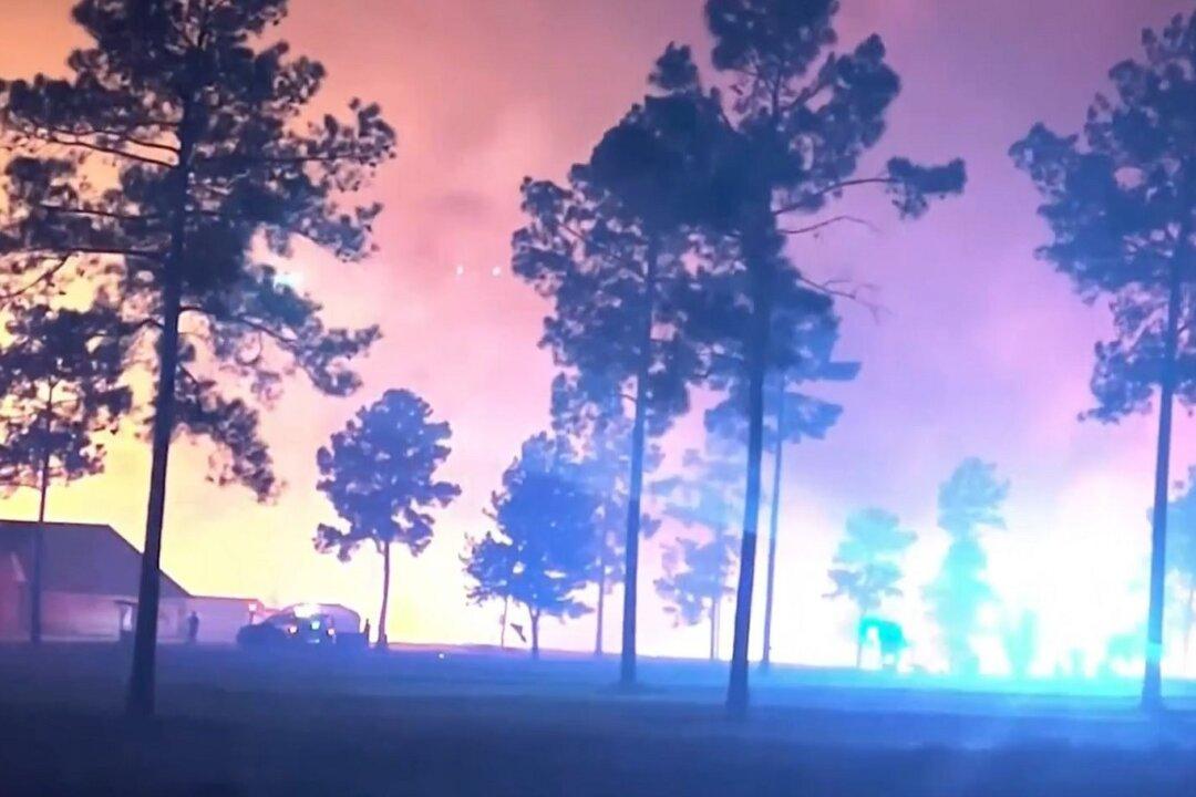 Increasing Wildfires Across Florida and the Eastern US are Beneficial to the Environment, Experts Say