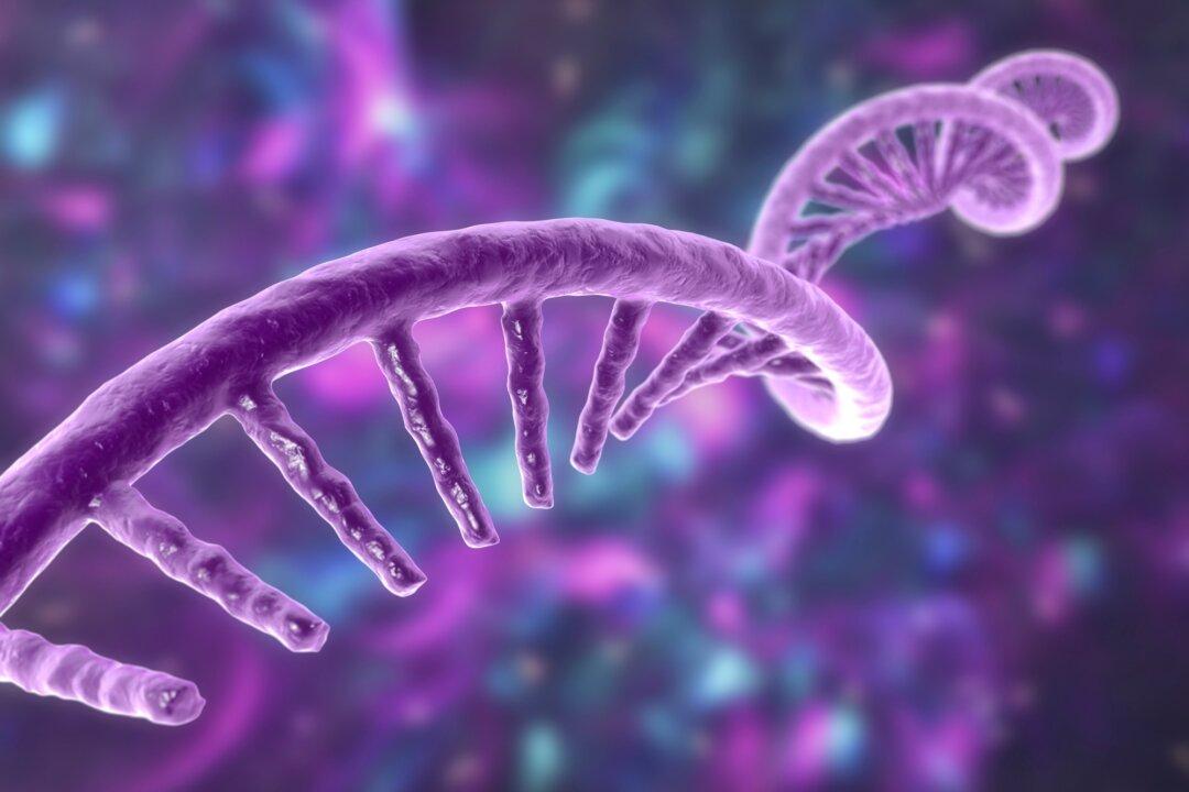 Victorian Government Funding Further mRNA Research