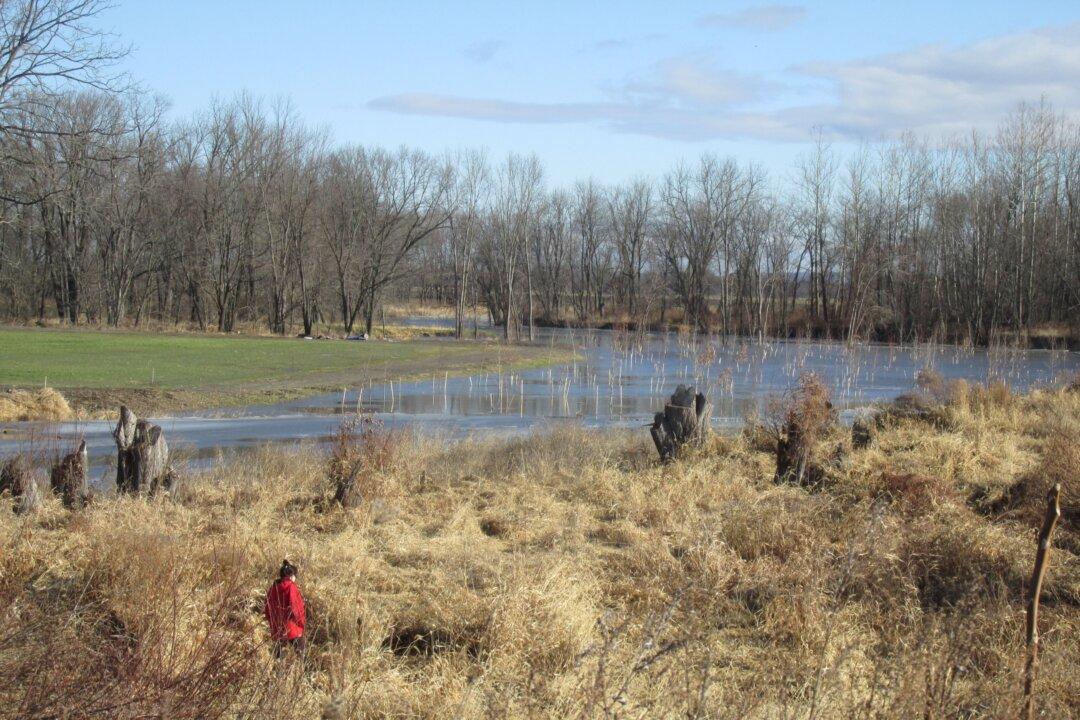 Flood Mitigation Work Enhances Agricultural Vitality in Orange County