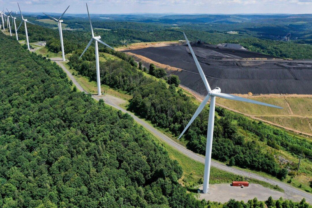 Billionaire Andrew Forrest to Build Biggest Wind Farm in New South Wales