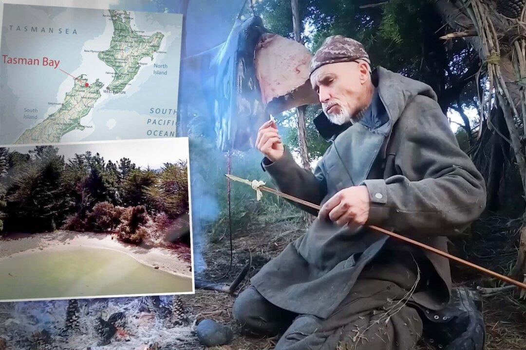 Man Survives 5 Days on Empty Island in New Zealand in Winter With No Tools, Food, Fire—Here’s How